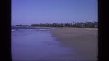 India (1970): Green Palm Trees And Tan Beach On A Clear Day