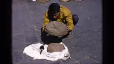 India (1970): Crouching Man Playing Music For Snake In A Basket Outdoors