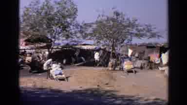 India (1970): People Living In Tents In A Third World Country Next To A City
