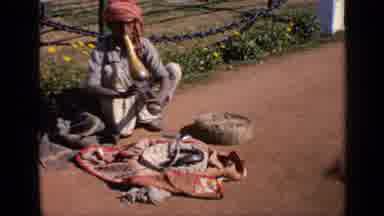 India (1970): Snake Charmer In Red Hat Back And Forth Over Round Basket With Quilt