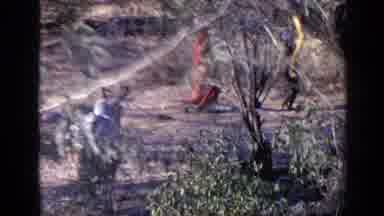 India (1970): Two Women Carrying Pots Of Water In The Woods And Bull Nearby