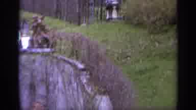 Italy (1962): Tunneled Trellis Rise To The Left And Right Above A Fountain That