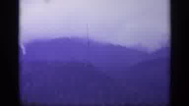 Italy (1962): Forest Of Trees Up Close With Mountains In The Distance