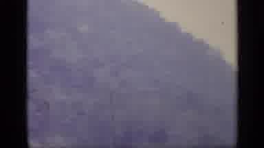 Italy (1962): Wooded Area Pretty Low Quality Dogo