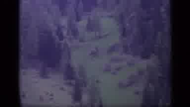 Italy (1962): Lonely Old House In The Middle Of A Forest Fresh Green And Beautiful