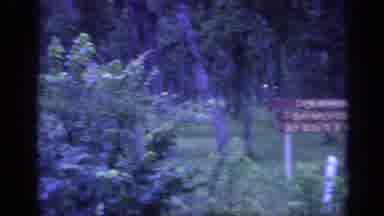 Florida USA (1968): Dream-Like Setting Reveals Dark Side Of Summer Camp