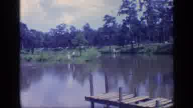 Florida USA (1968): Water In The Pond And Wooden Fishing Lane