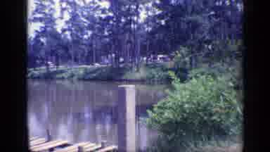 Florida USA (1968): Water Woman Purse Lake Trees