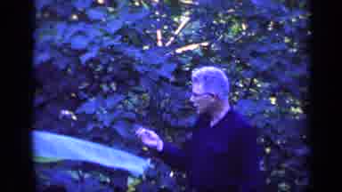 Florida USA (1968): Man Picking And Eating Something Off Of A Purple Tree
