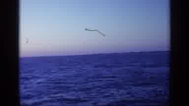 Florida USA (1968): Old Film Of Two Ships Floating On Sea With Land And A Sunset