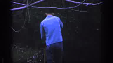Florida USA (1968): A Man Wearing A Blue Long Sleeves Raking Leaves And Staying
