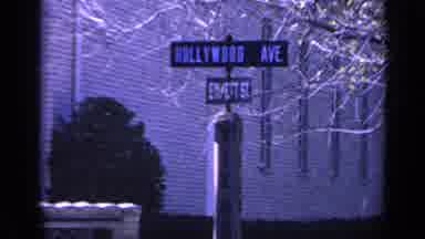 Florida USA (1968): Creepy Male Smiling In Woods Near Hollywood Ave In Daylight
