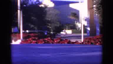 Florida USA (1968): A Pool Of Water Lays In Front Of A Red Flowered Sidewalk That