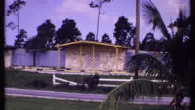 Bahamas (1969): Large Green Palm Tree On A Clear Day