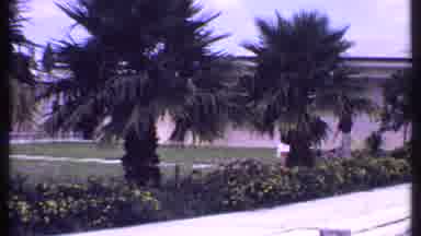 Bahamas (1969): A Large Store Surrounded By Palm Trees And Flowers With Its Doors