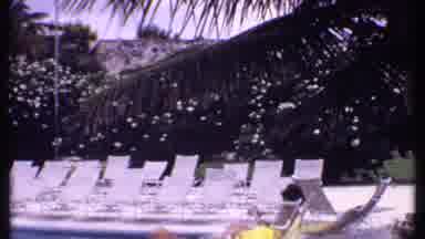 Bahamas (1969): Resort At Poolside Empty Lounge Chairs Full Foliage And Palm Trees