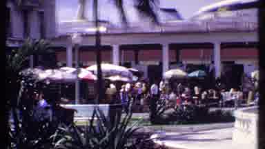 Bahamas (1969): Moped Driving In A Roundabout With Palm Trees And Plants Past A