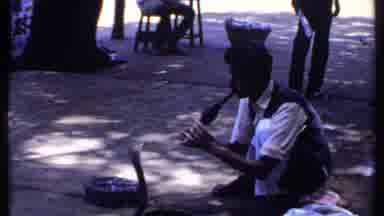 India (1969): Traditional Man Snake Tamer Seen Playing Cultural Instrument In