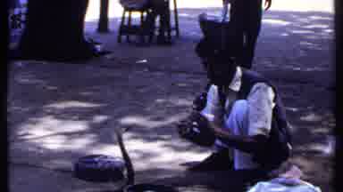 India (1969): A Man Mesmerizing A Cobra With A Flute While People Look In