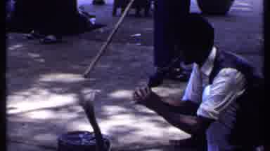 India (1969): Person Playing Flute Swaying Side To Side As Cobra Watches And