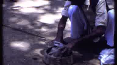 India (1969): Hippologist Man Giving Presentation Trying To Handle A Snake