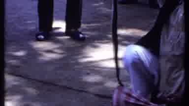 India (1969): Snake--Handle Routine Gone Wrong!