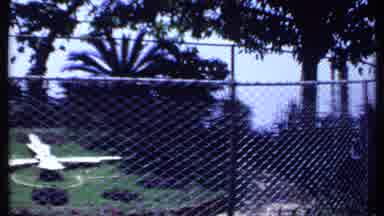India (1969): Human Helping Bat Wings At Fenced Area With Pink Flowers