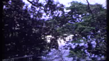 India (1969): Scenic A Treeline And Small Boats Docked Along A Beach