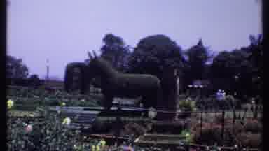 India (1969): Grave With Bush The Shape Of A Donkey