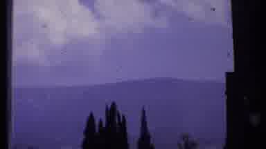Kenya (1969): Trees Up Close With Person Recording Zooming To The Mountains In The