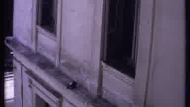 Kenya (1969): A BuildingâS Windows And A Busy City Street