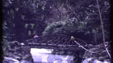 Kenya (1969): Nature Surrounding Ponds As Footsteps Leads Over The Beautiful