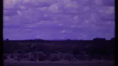 Kenya (1969): Showing Black And White Zebra Running Across A Safari Or Desert