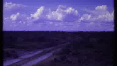 Kenya (1969): Female Lion Walking In Desert Near A Dirt Road