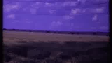 Kenya (1969): The Sightseeing Safari Shows Scrub Land To Tourists In Specially