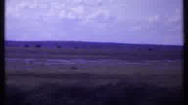 Kenya (1969): Animal Roaming Free On Grassy Hills On Partly Cloudy Day