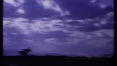 Kenya (1969): Free Animal Running On A Beautiful Cloudy Day Near A Field