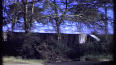 Kenya (1969): Overgrown Building And Old Tent In The Forest On A Clear Day
