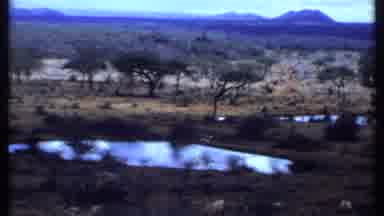 Kenya (1969): Landscape Of A Wild Area With Trees Small Puddles And Mountains