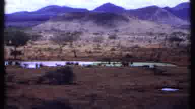 Kenya (1969): Animals Ranging Near A Lake Overlooked By A Mountain Range