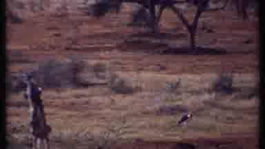 Kenya (1969): Animals In The Distance On Big Field