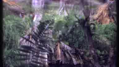 Kenya (1969): Man Outside House Looking At Hurricane Damage