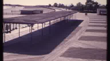 New London Connecticut (1969): Walk In The Wooden Park On A Sunny Sunday Afternoon