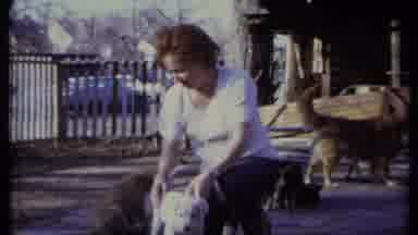 California USA-1971: Woman Petting Playful Puppies in Fenced Backyard