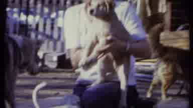 California USA (1971): Woman Picks Up Puppy And Holds It With Other Dogs And Puppy