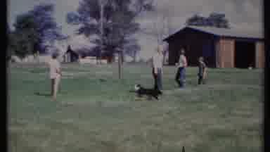 California USA (1971): A Dog Playing In Ground With Four Persons