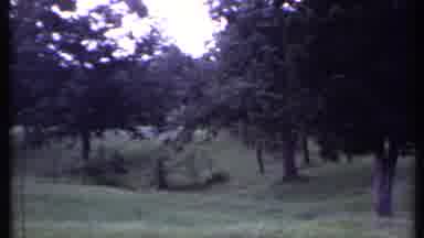 California USA (1971): Nature Footage Showing A Grass Field Surrounded By
