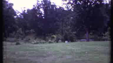 California USA (1971): Lawn Near The Woods On A Sunny Day