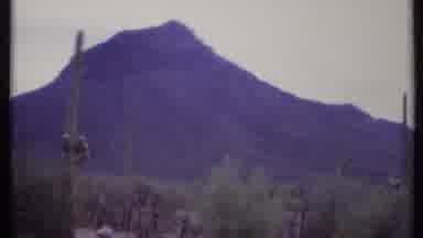 California USA (1971): Old Desert With Cactus And Mountains