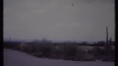 California USA (1971): A Savannah Type Habitat Featuring Cacti Roads And Dirt